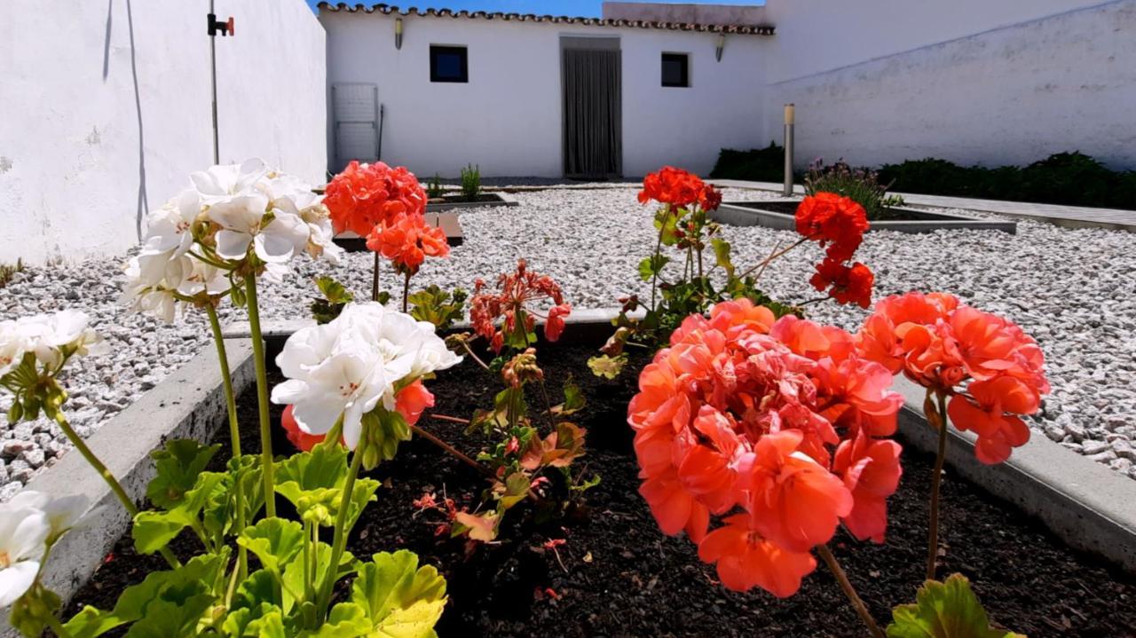 Casa Dos Vizinhos - Casas De Taipa Villa Sao Pedro do Corval Exterior photo